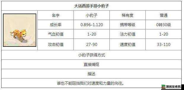 大话西游手游深度攻略，小k专业剖析主流双火力阵容的制胜套路