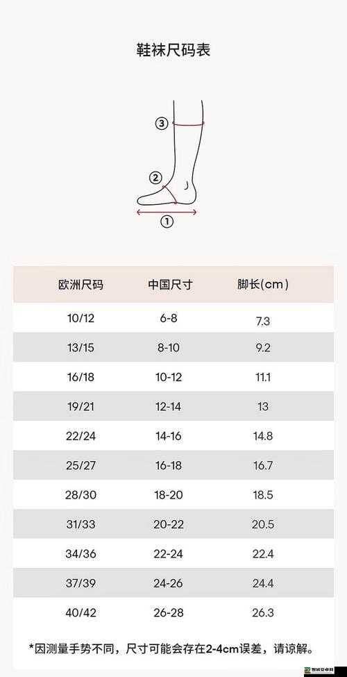 欧洲尺码日本尺码专线发布：开启精准尺码服务的全新篇章