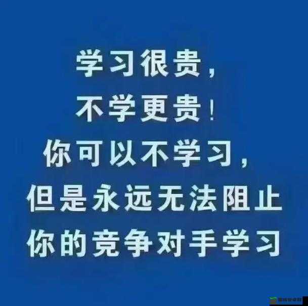 b 站大全永不收费 2024：提供全方位的精彩内容体验