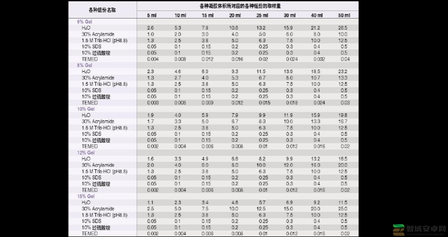 美国人与动物胶配方有几种：深入探究其具体种类及相关信息