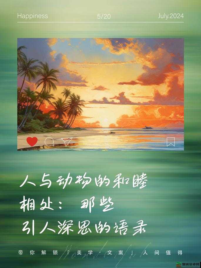 欧美日韩人与动物的奇妙故事与情感交织