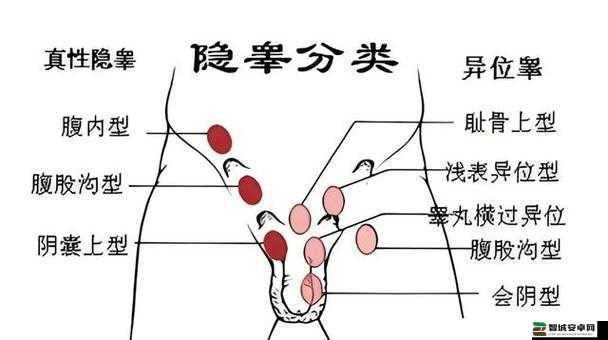 不小心看到男生睾丸后的意外与困惑