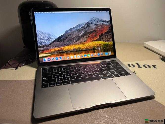 19 岁 MACBOOKPRO 欧美-一个充满魅力与故事的存在