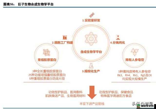 东边大炕交换内容超丰富-平台：畅享海量优质资源交流