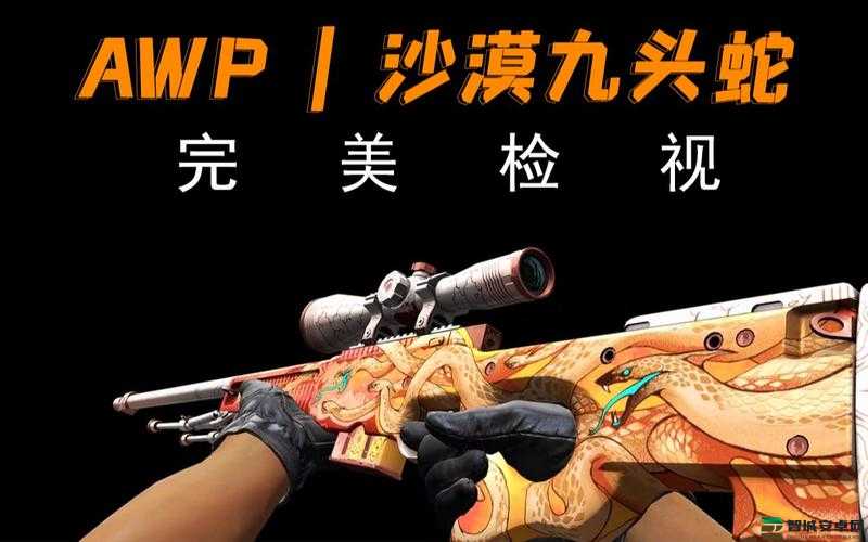 CSGO九头蛇大行动，全面操作指南与深度游戏机制解析