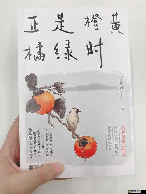 我就在外面赠一赠：关于这句话的一些思考与探讨