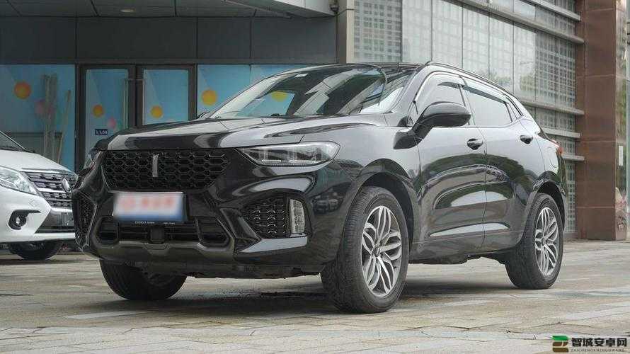 weyvv5 国产的 suv 免费，你还在等什么？