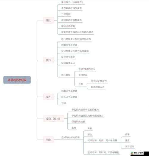 药效 1v2hpo 江漾治疗解析：深入探究其背后的医学原理和应用前景