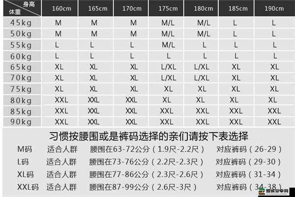 四叶草 M 码和欧洲码的区别：尺码差异与适用人群解析