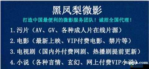 大地资源第二页免费观看：畅享优质资源无需付费