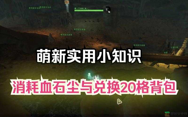 激战2游戏内仓库容量详解及背包与仓库扩充方法指南