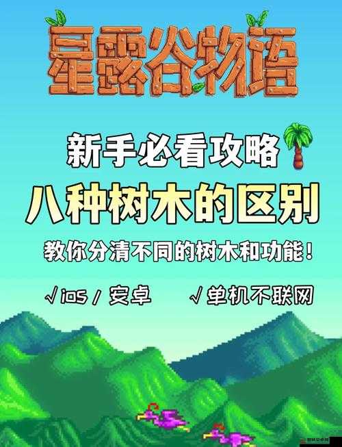 星露谷物语深度解析，老玩家揭秘秘密森林的多重作用与玩法