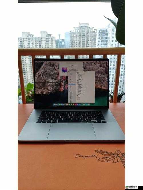 19 岁 MacBook Pro：经典之选见证青春岁月