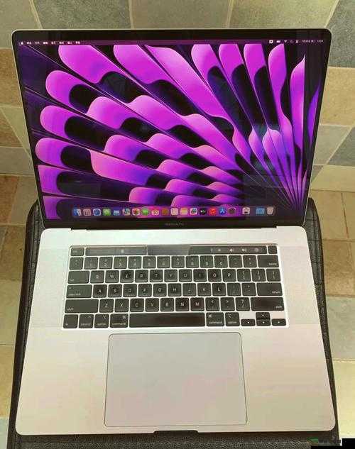 16 岁日本学生 MacBookPro 评测-一个独特而有趣的科技体验分享