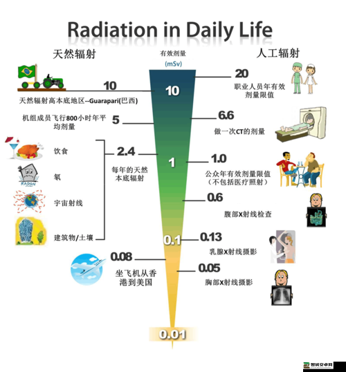 辐射2中既令人捧腹大笑又极具实用价值的游戏秘籍大揭秘