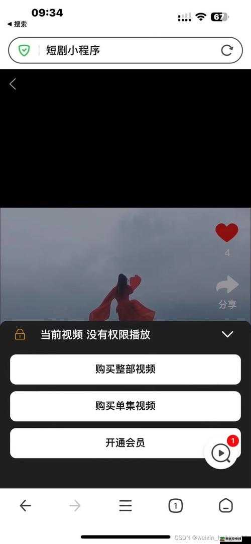 成品视频 APP 大全免费：畅享无尽精彩，尽在这里