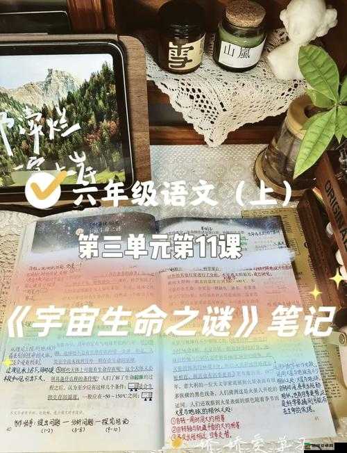 任他驰骋索取，尽情探索欲望的奥秘