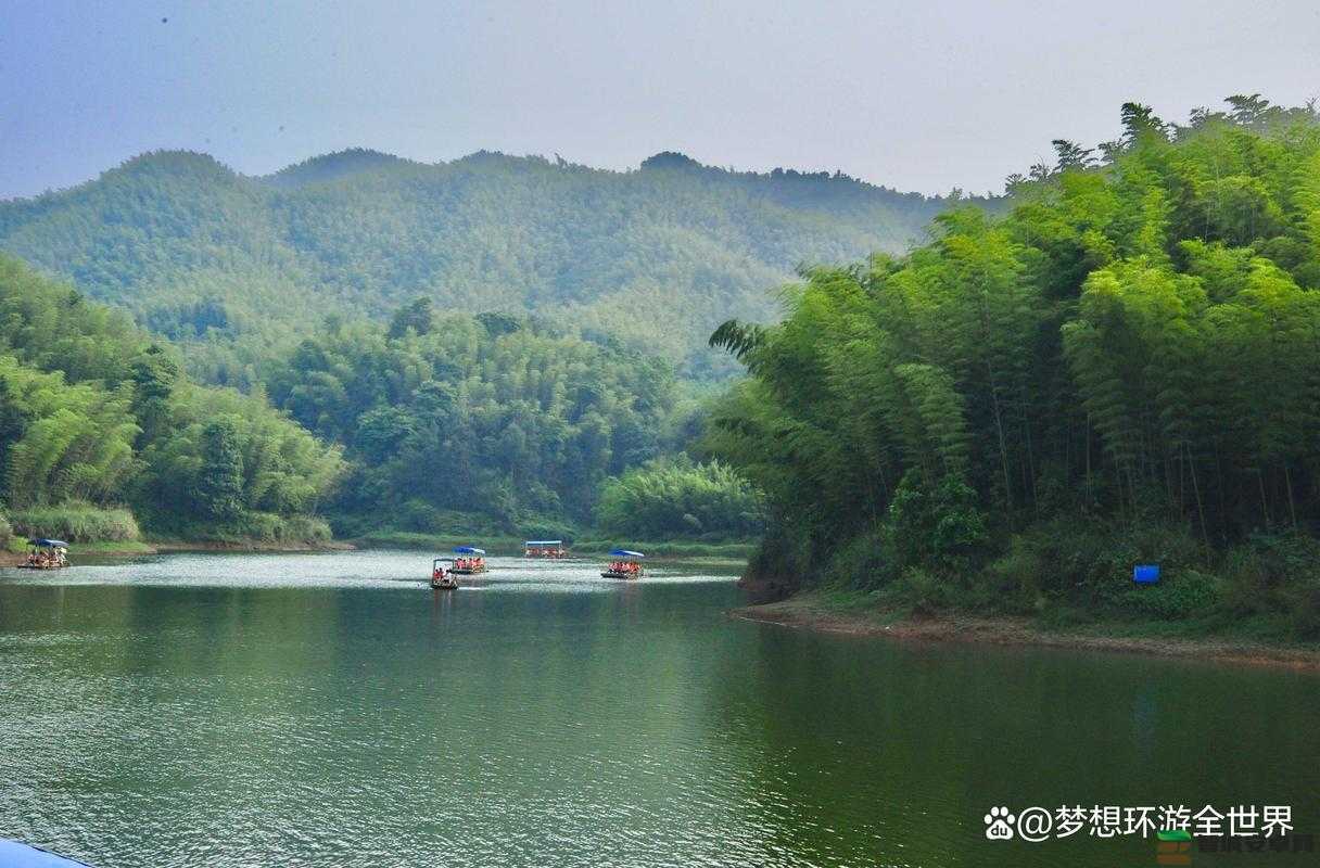 卧虎藏龙绝美竹海取景地探秘，蜀南竹海与黄山市木坑竹海